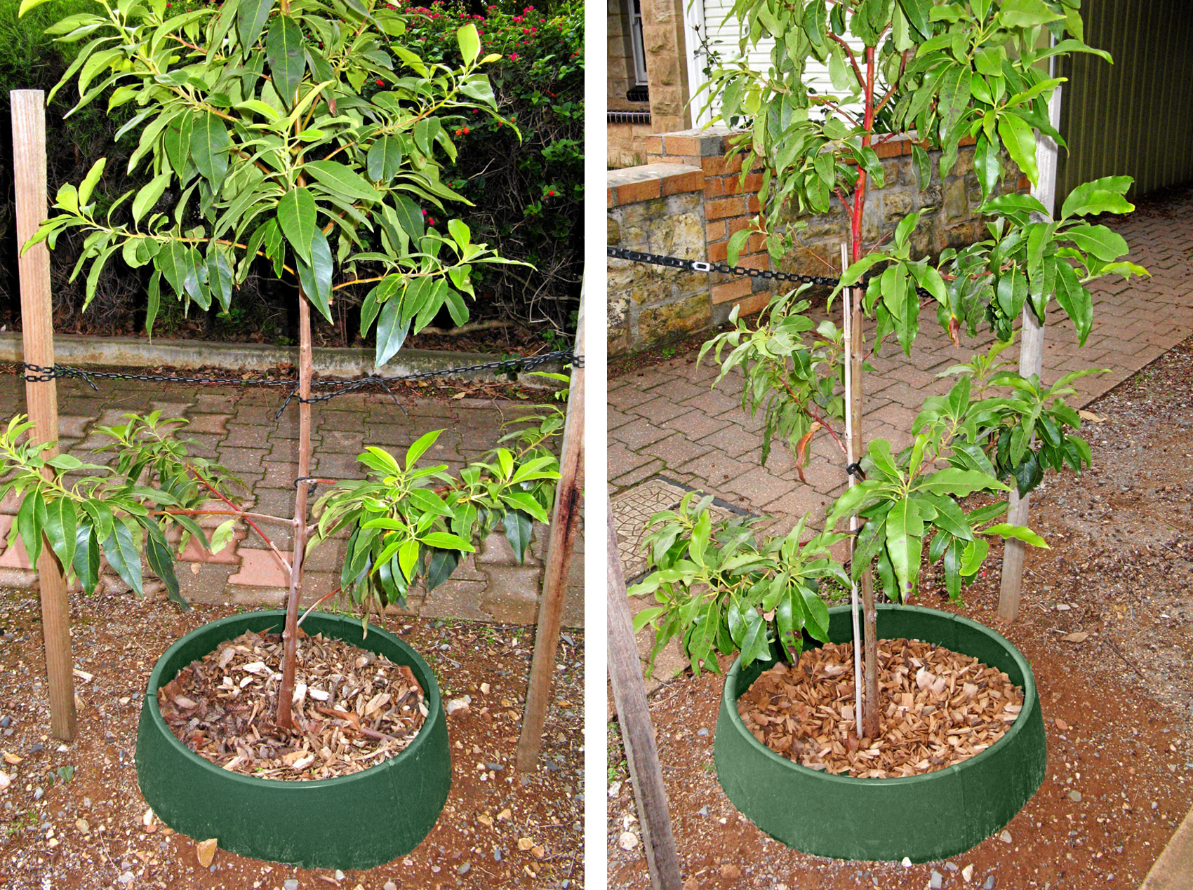 greenwells-being-used-by-council-in-South-Australia-1